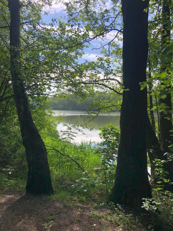 Noclegi Gdansk Pokoje Goscinne Gdańsk Exterior foto